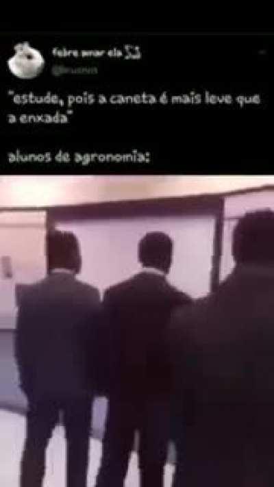 Os cara faz faculdade pra capinar lote