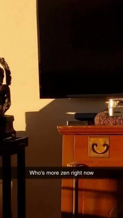 Here it is, your moment of zen.