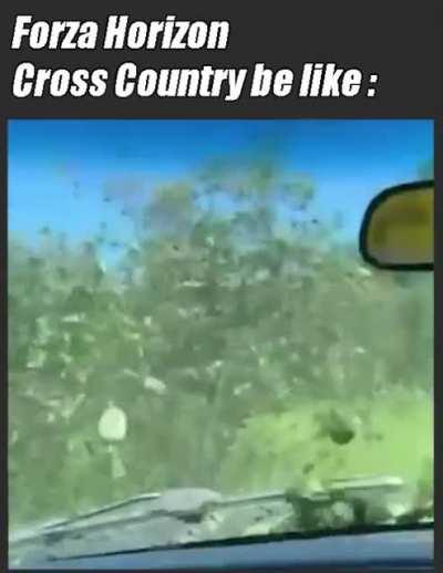 I mean what should I say...