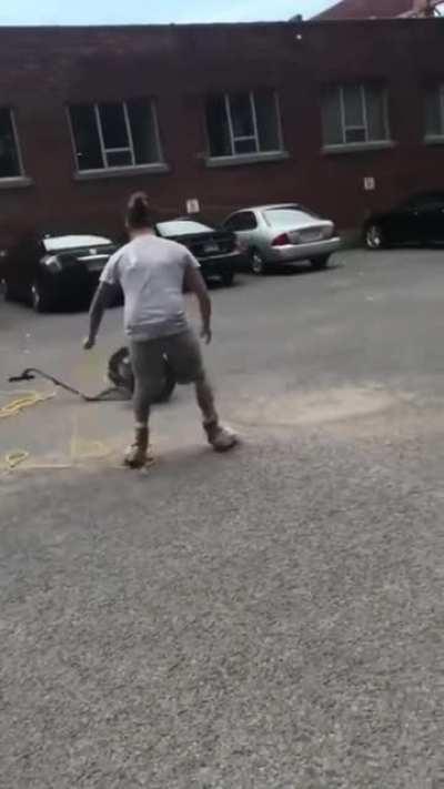 that Segway Roundup./-