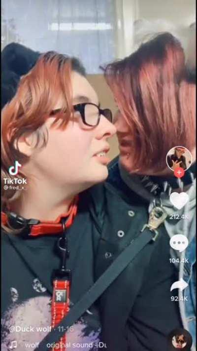 The dogs are on the lose again