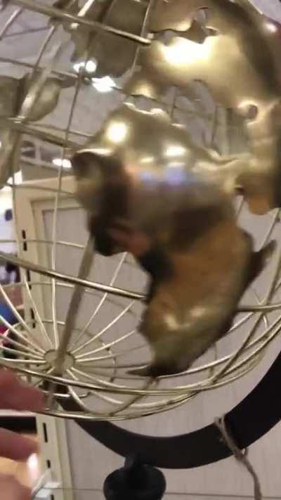 A lost continent or just a bad design? 🤔