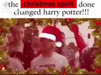 Merry Potter
