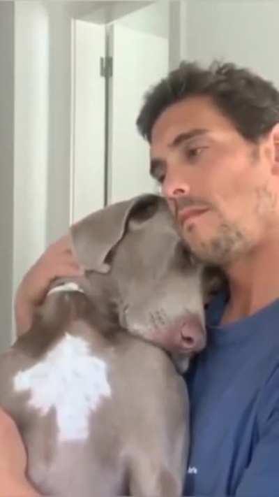 Просто Любовь