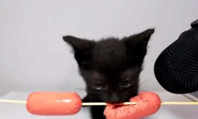 VeRoCiOuS bEaSt EaTs HeLpLeSs PiG (GRAPHIC)