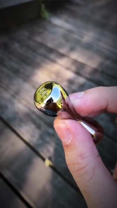 thrill-seeking roller spinner