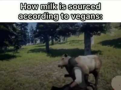 Vegans, am I right 😹 (the title is sarcastic)