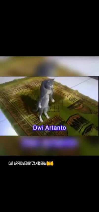 oh allah the almighty