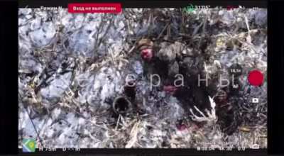 Russian drone operators use grenade drops and FPV's on Ukrainian troops in the Kursk region. One soldier shot's himself after being hit