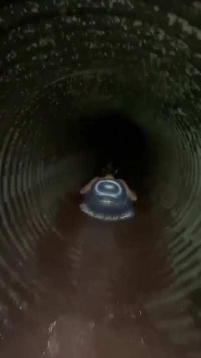 To be never seen again.