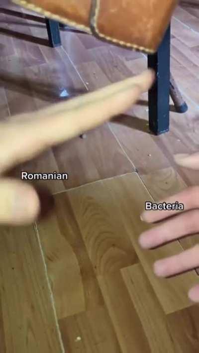 Are you mad?😎😎1️⃣1️⃣🇷🇴🇷🇴