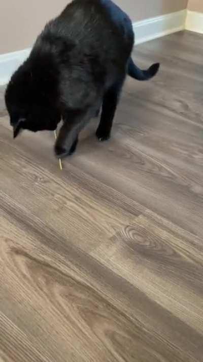 Dozens of toys scattered around the house and what does he choose? Dry pasta…