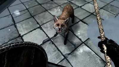 Pumpkin and I don't always agree on everything.