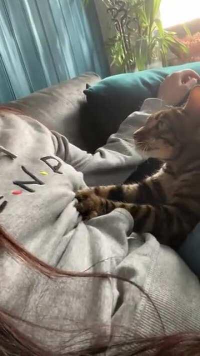 My moms cat loves keeping eye contact while being inappropriate