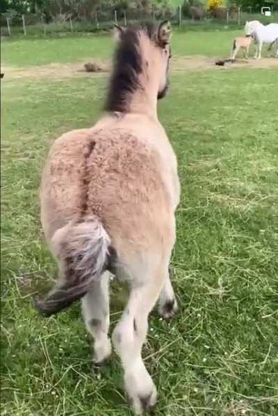 Bum scratches are life!!