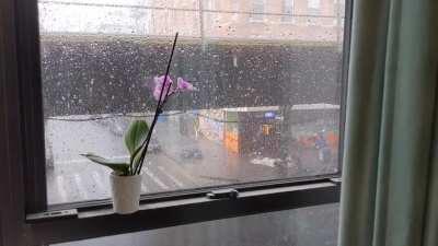 A summer thunderstorm in Brooklyn