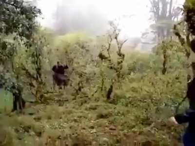 wcgw not checking how much a swing can hold