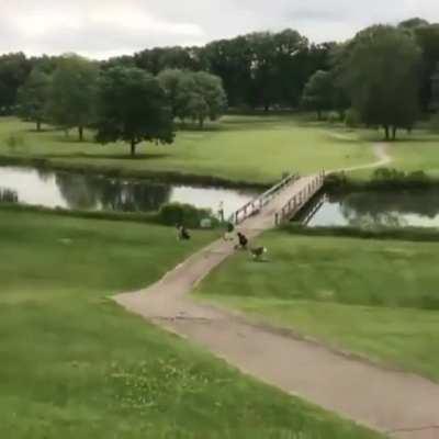 Man lands a hole in one in the lake with his clubs