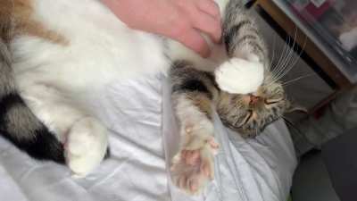 I think my baby Kira belongs here