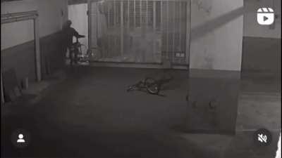 When you guys realize that Samuel Is canon in Brazil: