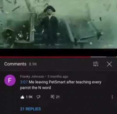 Parrots have a N-Word pass.