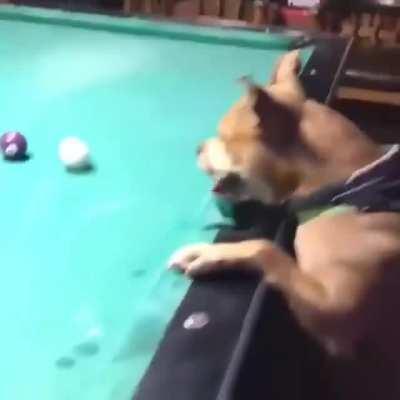 Pool Master