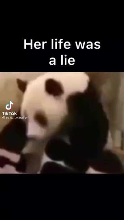 pandas are hamters but bigger