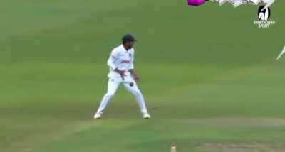 Bhai tujhe hi dekh rahi hai