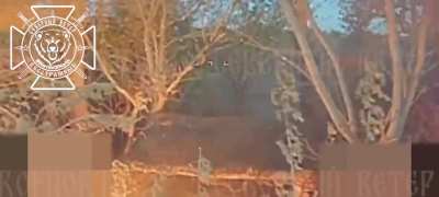 Destruction of an Ukrainian 2S1 Gvozdika SPG by Russian fiber optic FPV drones in the Vovchansk direction