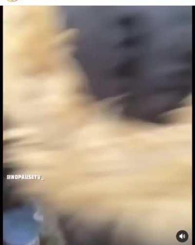 Lining up for regrets.