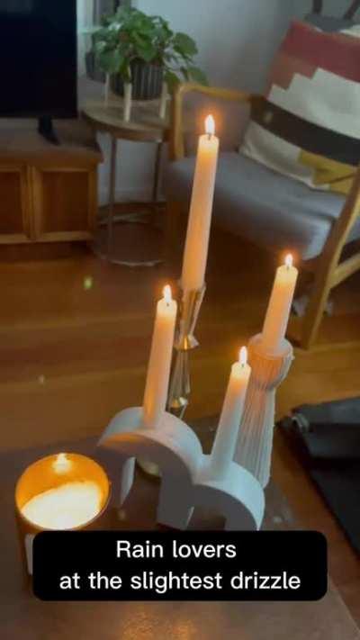 Rain lovers at the slightest drizzle