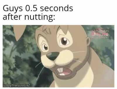 What the hell was I watching...?