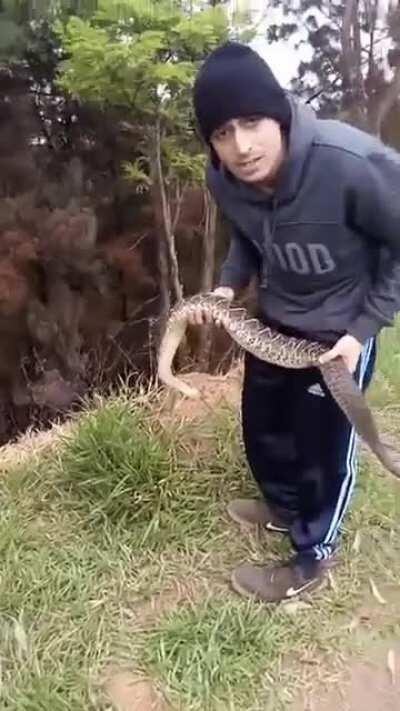 For someone holding a rattlesnake he shouldn't be so willing.