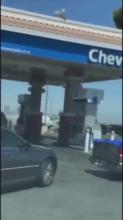 Example of Natural Selection