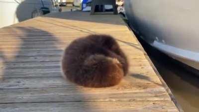 I just wanna hug this little baby