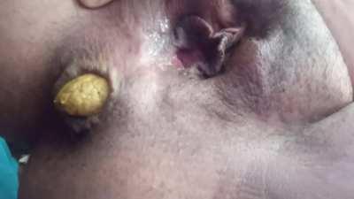 (f) smell my huge log