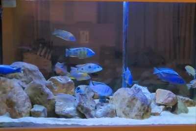 my living room setup C&C welcome