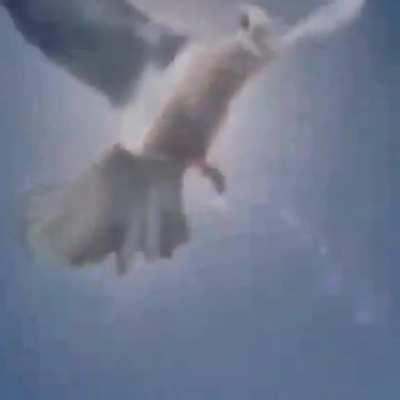 randam ko yung sakit🗿