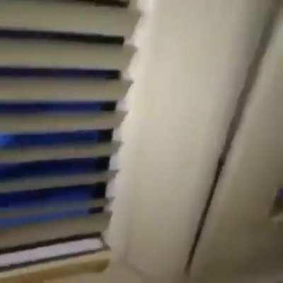 Wordington Sports Fan