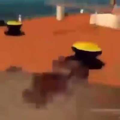 e🅱️ic amogus edit