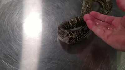 How would this happen?