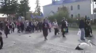 This stork literally flew to say goodbye to the Ukrainian hero