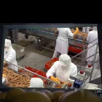 Careers for Polish men in Ireland (I'm not saying 