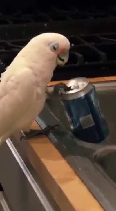 My favourite day of week