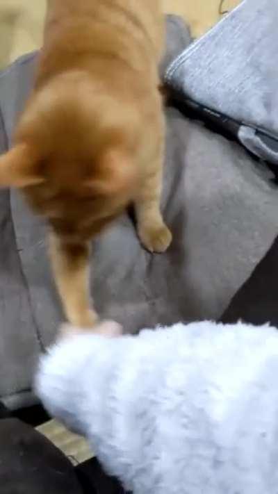 Давай играть?!