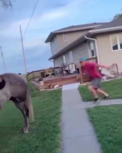 WCGW Jumping onto a horse.