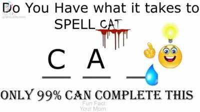 Spell cat