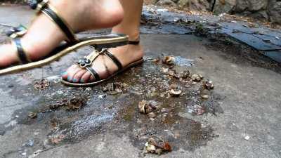 Polina - Flat Sandals - Snail