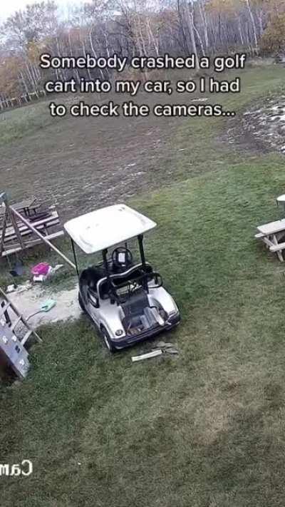 Dog Crashes Golf Cart into Car