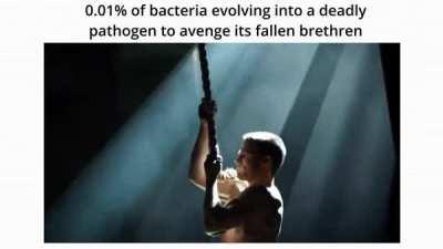 noughtpointnoughtonepercent